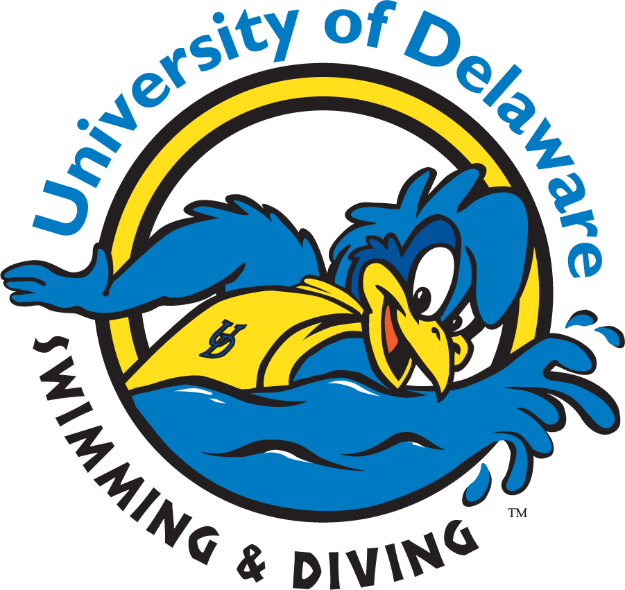 Delaware Blue Hens 1999-2009 Mascot Logo v9 iron on transfers for clothing